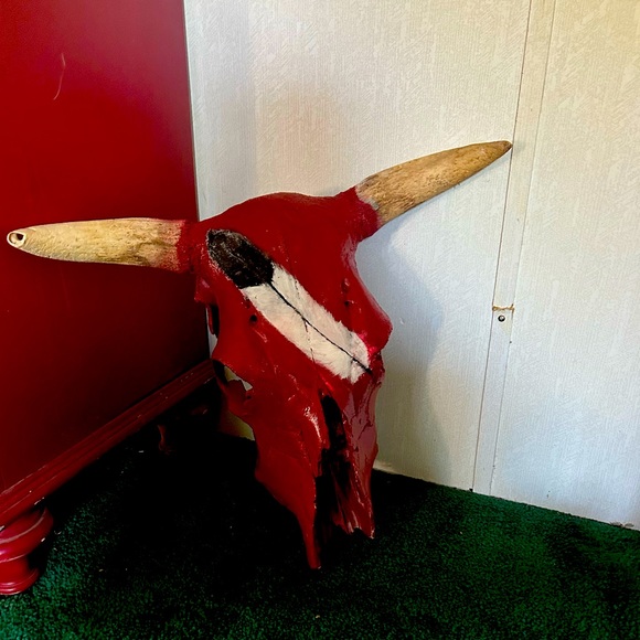 Hand painted Texas Cow Skulls